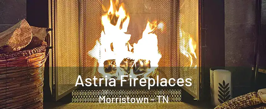  Astria Fireplaces Morristown - TN