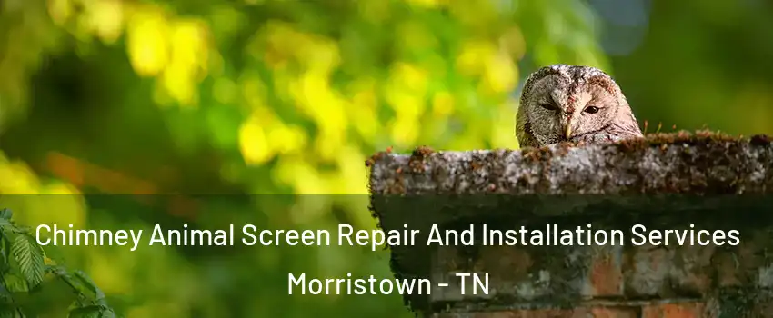  Chimney Animal Screen Repair And Installation Services Morristown - TN