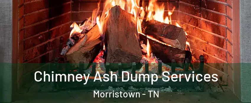  Chimney Ash Dump Services Morristown - TN
