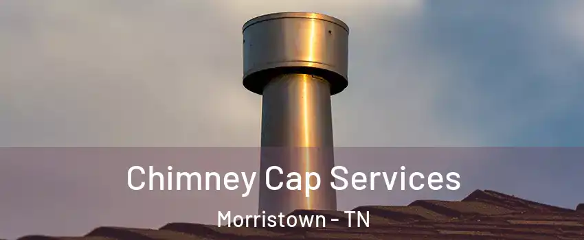  Chimney Cap Services Morristown - TN