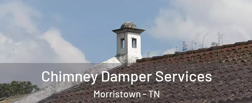 Chimney Damper Services Morristown - TN