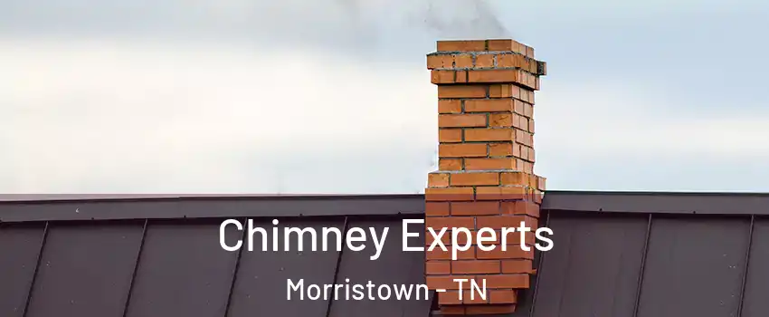  Chimney Experts Morristown - TN