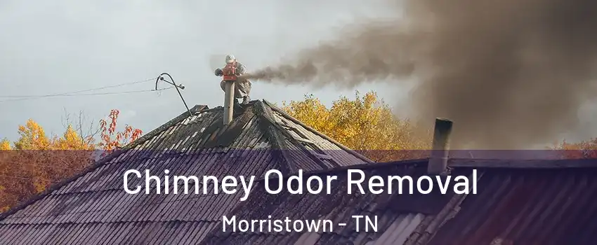  Chimney Odor Removal Morristown - TN