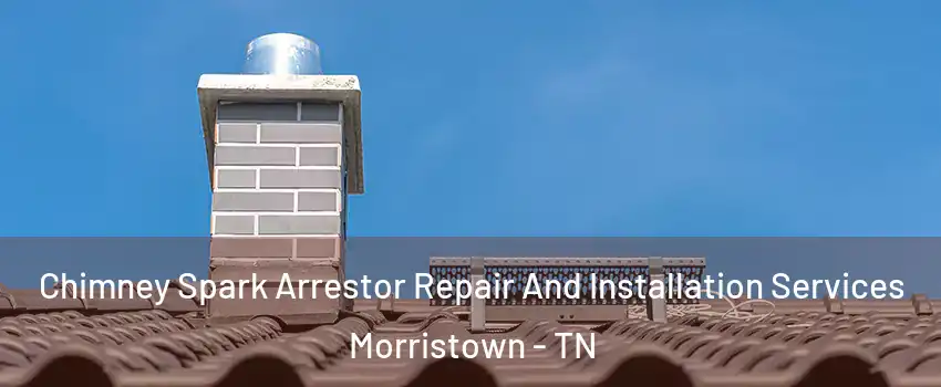  Chimney Spark Arrestor Repair And Installation Services Morristown - TN