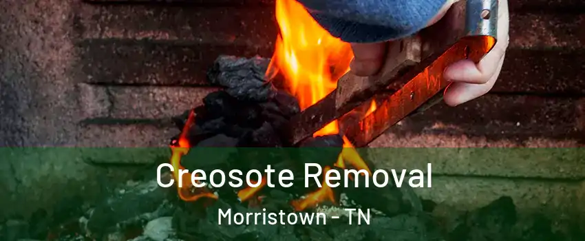  Creosote Removal Morristown - TN