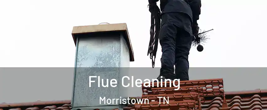  Flue Cleaning Morristown - TN