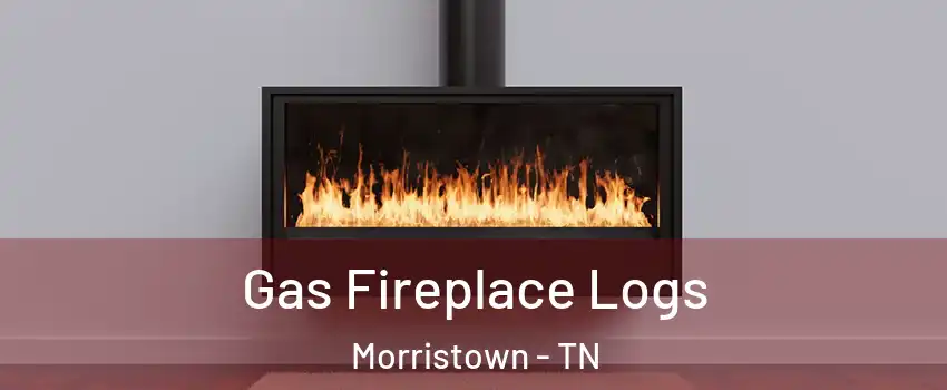  Gas Fireplace Logs Morristown - TN