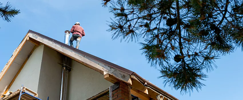 Birds Removal Contractors from Chimney in Morristown, TN