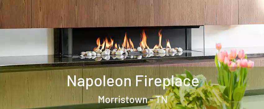  Napoleon Fireplace Morristown - TN