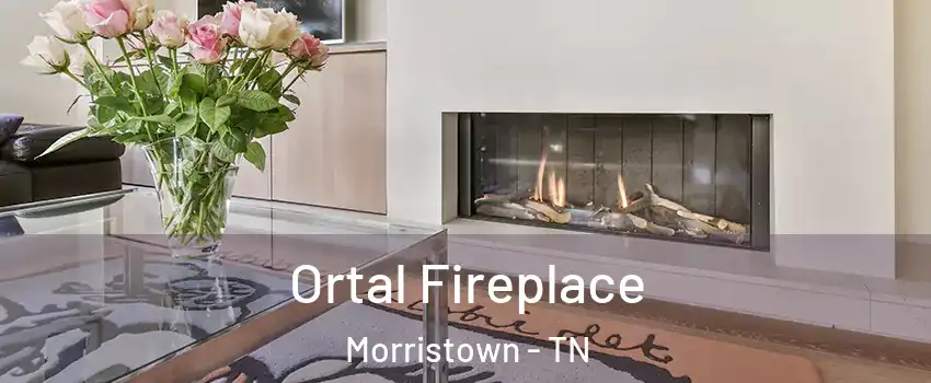  Ortal Fireplace Morristown - TN